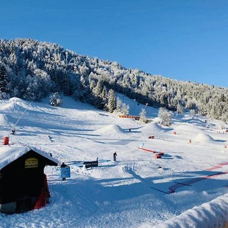 Apartment In Morzine - Ski In - Sleeps 6 Buitenkant foto